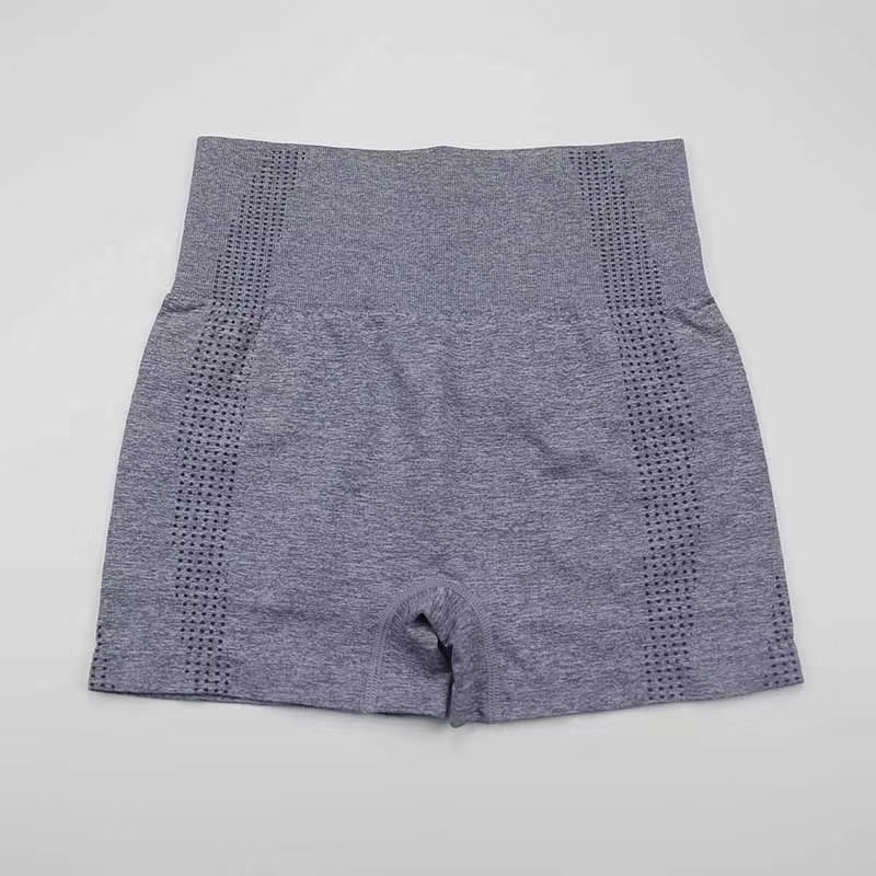 Seamless Ladies Gym Shorts Seamless Ladies Gym Shorts