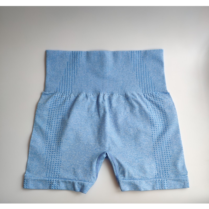 Seamless Ladies Gym Shorts Seamless Ladies Gym Shorts