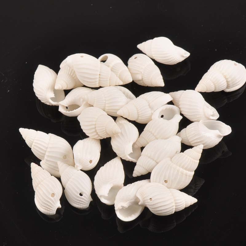 Seashell Beads DIY Supplies (50pcs) Seashell Beads DIY Supplies (50pcs)