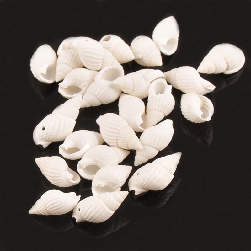 Seashell Beads DIY Supplies (50pcs) Seashell Beads DIY Supplies (50pcs)