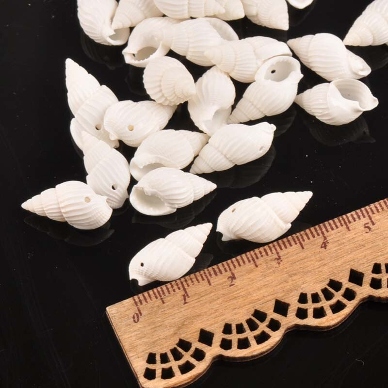 Seashell Beads DIY Supplies (50pcs) Seashell Beads DIY Supplies (50pcs)