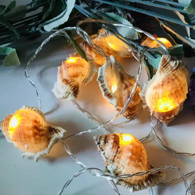 Seashell String Lights LED Decor Seashell String Lights LED Decor