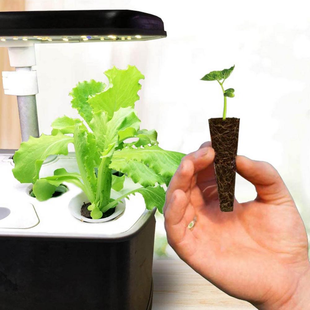 Seed Planting Grow Sponges (50pcs) Seed Planting Grow Sponges (50pcs)