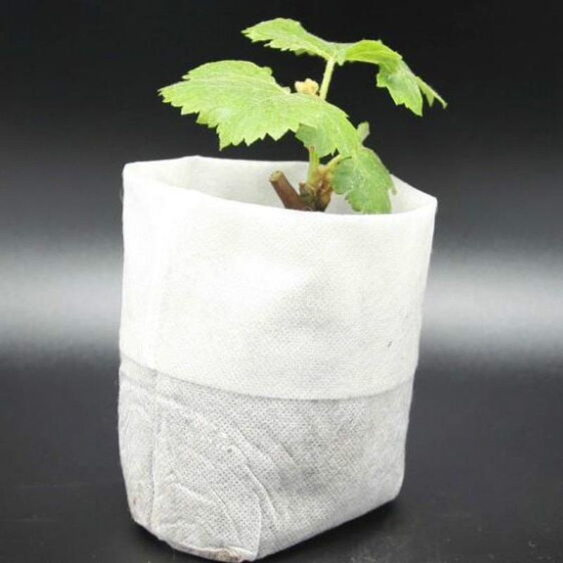 Seedling Bags Grow Bags (100pcs) Seedling Bags Grow Bags (100pcs)
