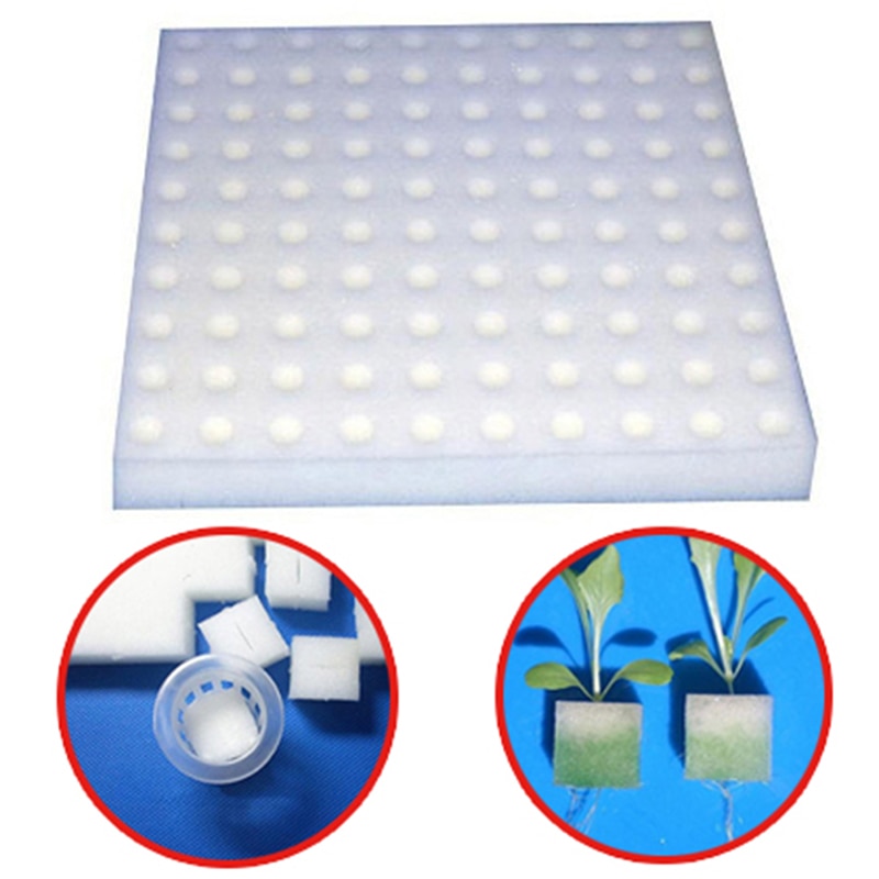 Seedling Hydroponic Sponge (100pcs)