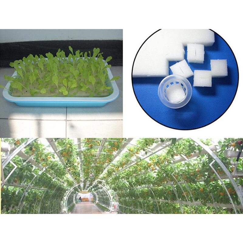 Seedling Hydroponic Sponge (100pcs)