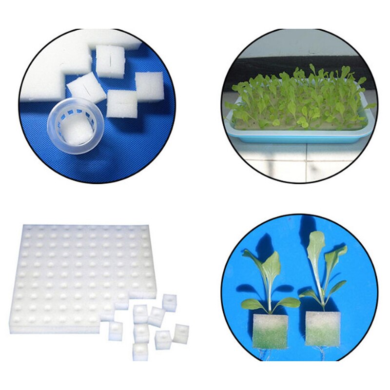 Seedling Hydroponic Sponge (100pcs)