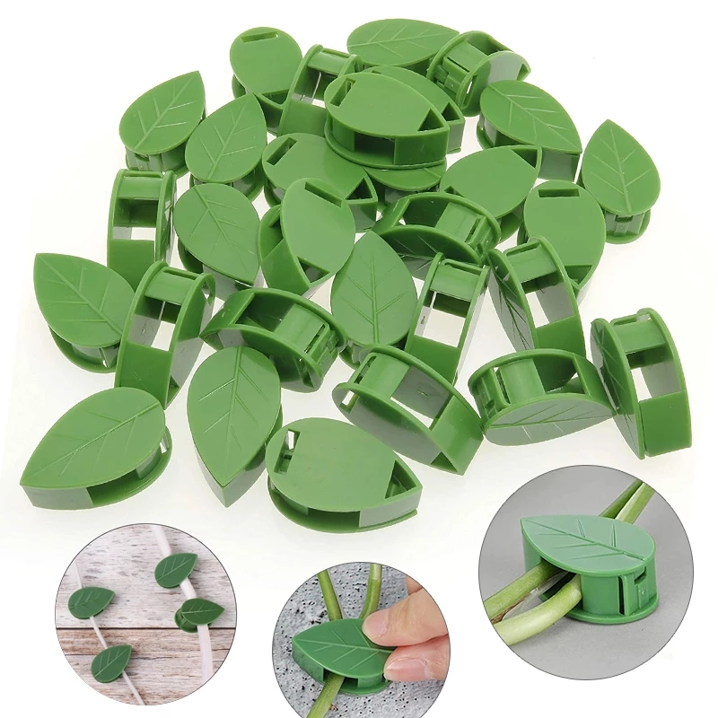 Self Adhesive Plant Clips for Climbing Plants (50 pcs)