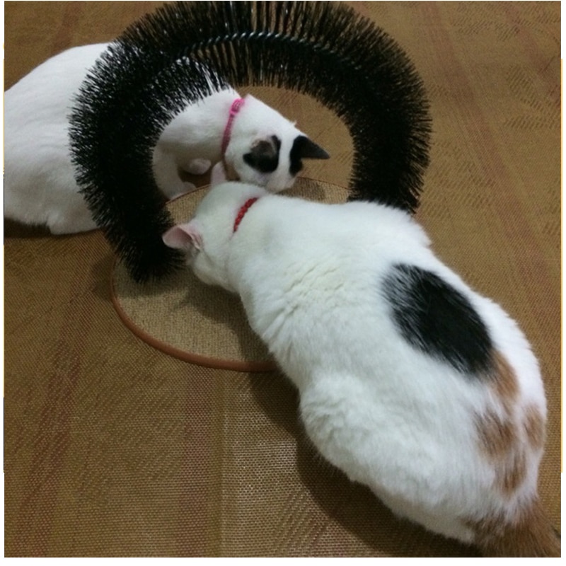 Self Grooming Cat Arch Fur Brush Self Grooming Cat Arch Fur Brush