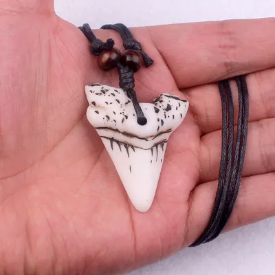 Shark Tooth Necklace Rope Chain Shark Tooth Necklace Rope Chain