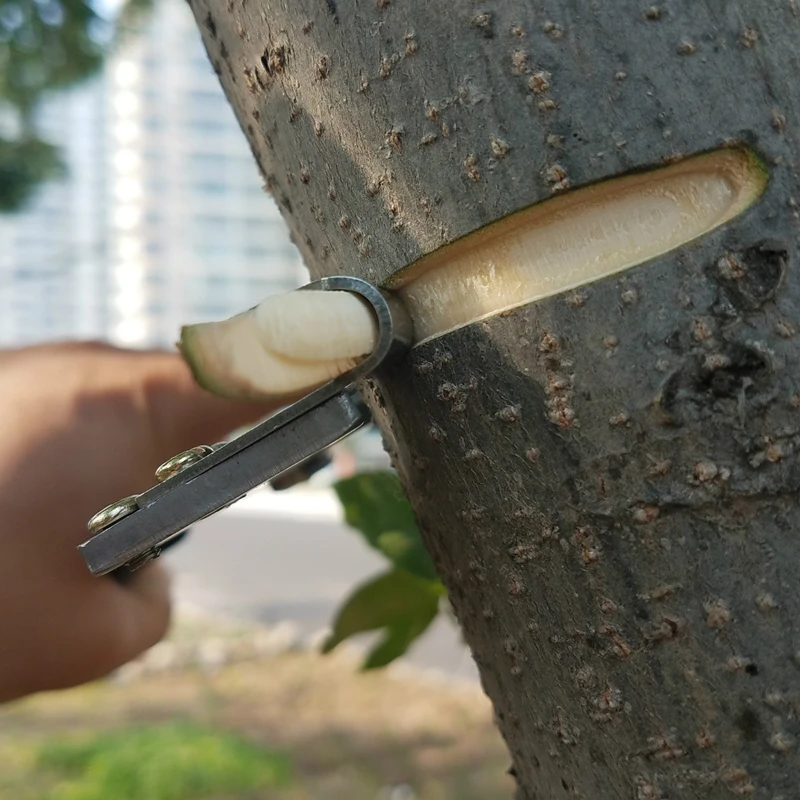 Sharp Stripping Peeling Knife Garden Tree Branches Ring Barking Cutter Scissor Girdling Shear Prunning Garden Hand Tools