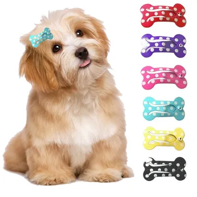 Shih Tzu Hair Clips (5 pcs)