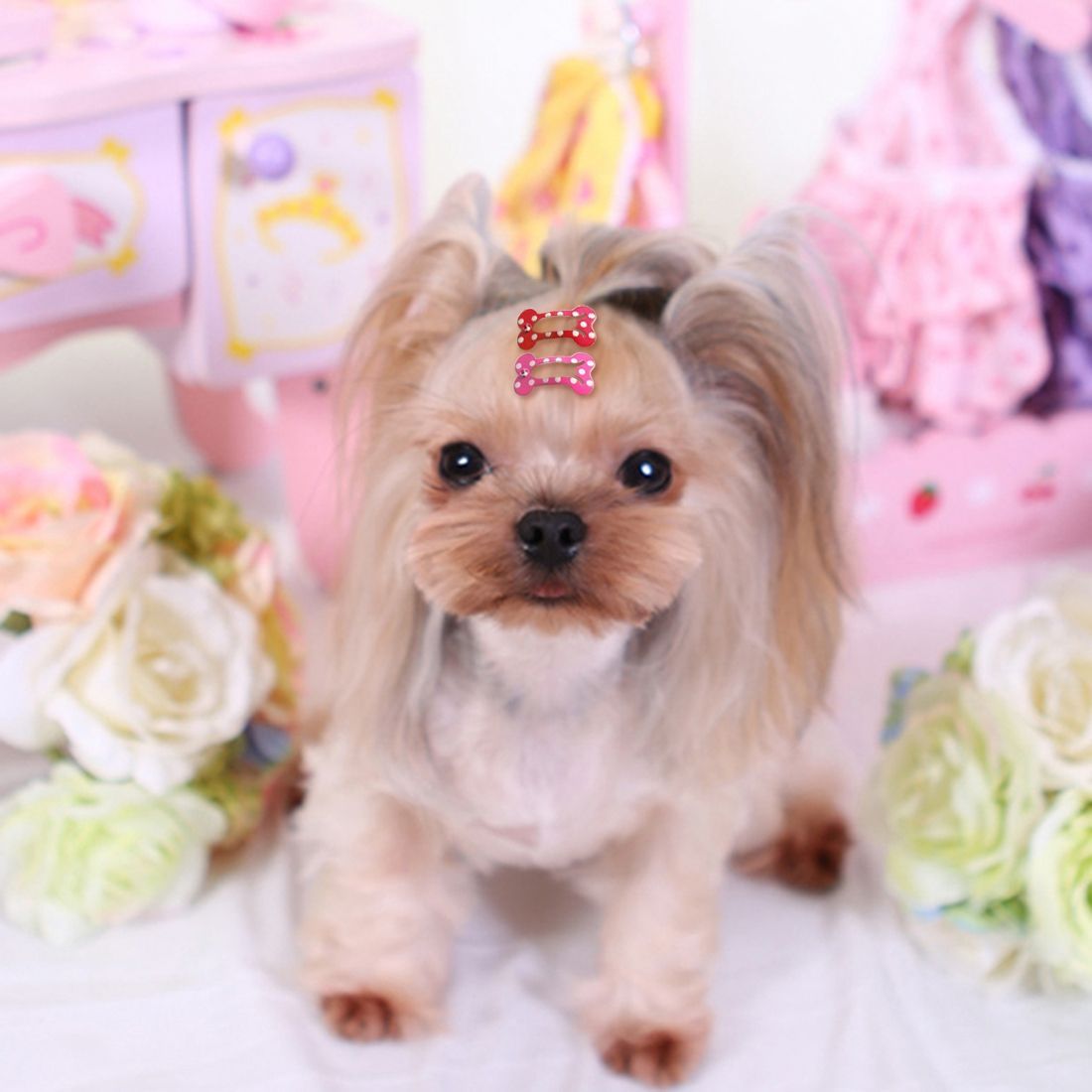 Shih Tzu Hair Clips (5 pcs)