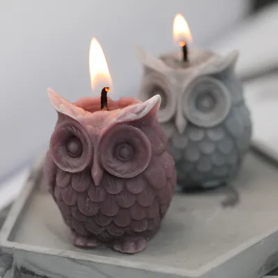 Silicone Candle Mold Owl Design