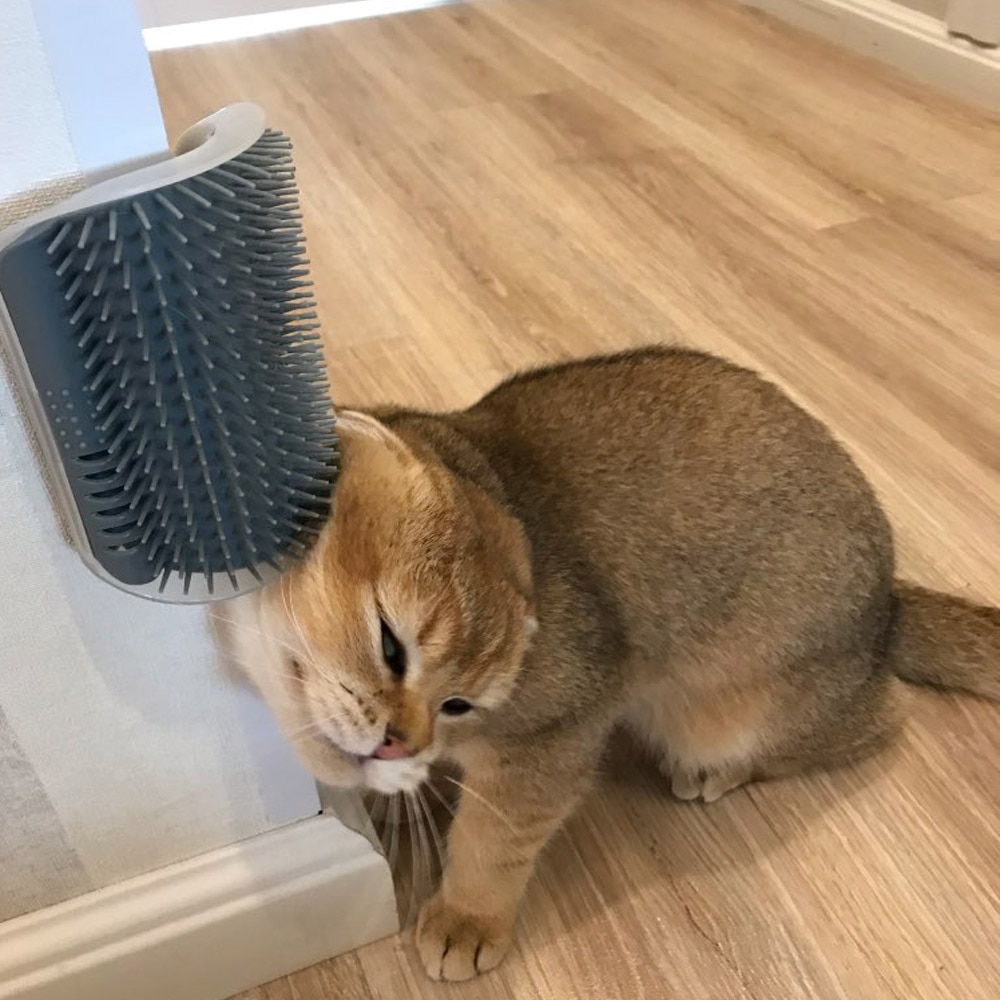 Silicone Corner Cat Brush
