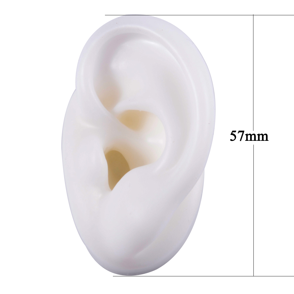 Silicone Ear Model for Jewelry