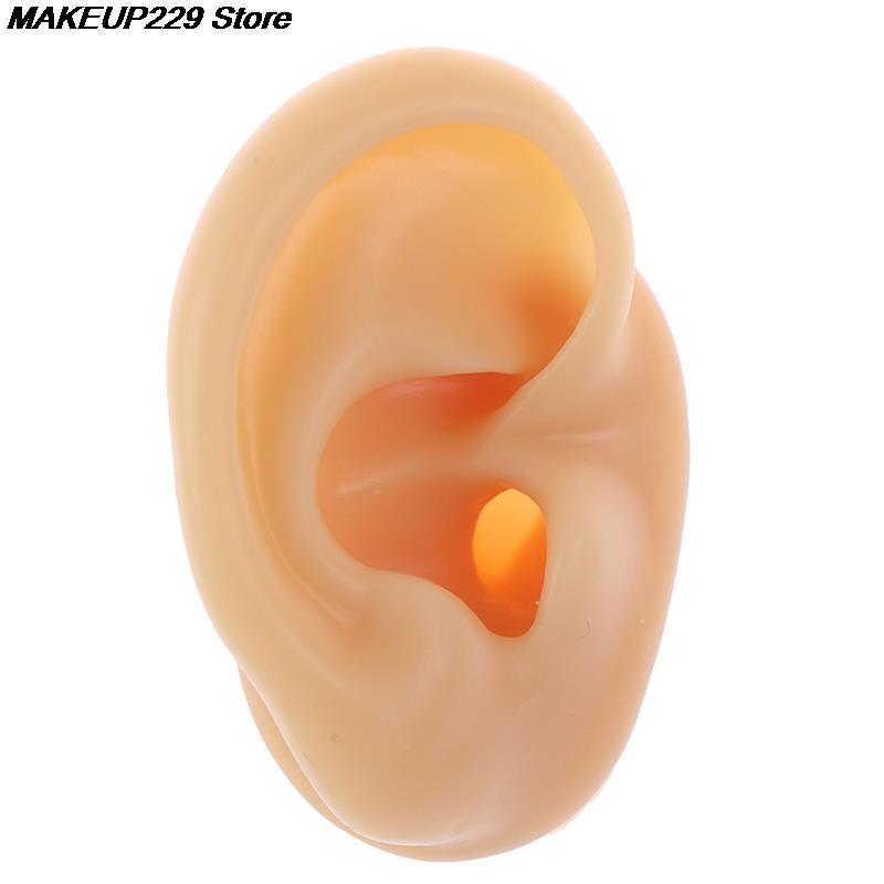 Silicone Ear Model for Piercing Practice Silicone Ear Model for Piercing Practice
