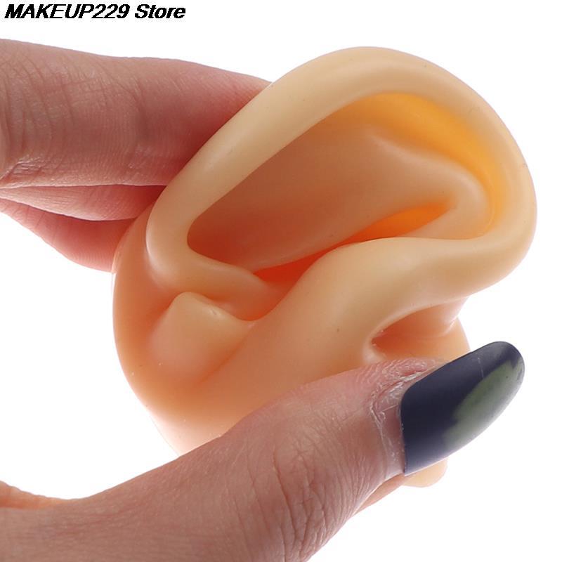 Silicone Ear Model for Piercing Practice Silicone Ear Model for Piercing Practice