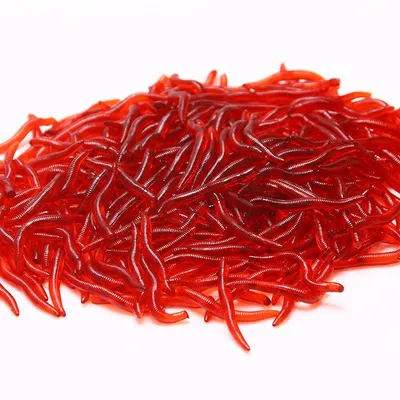 Silicone Fake Fishing Worms (50pcs)