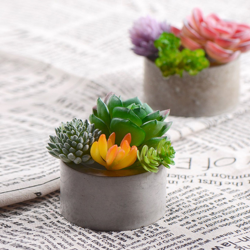 Silicone Molds for Planters 6-Cavity Mold