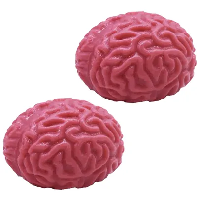 Silicone Squishy Brain Stress Ball