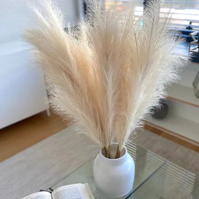 Silk Artificial Pampas Grass Decor (5pcs) Silk Artificial Pampas Grass Decor (5pcs)