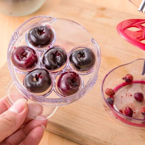Six Slot Cherry Seed Remover Tool