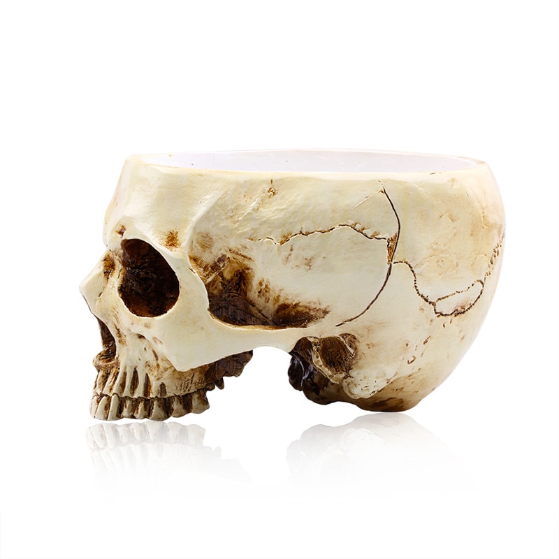 Skull Decor Resin Sculpture Skull Decor Resin Sculpture