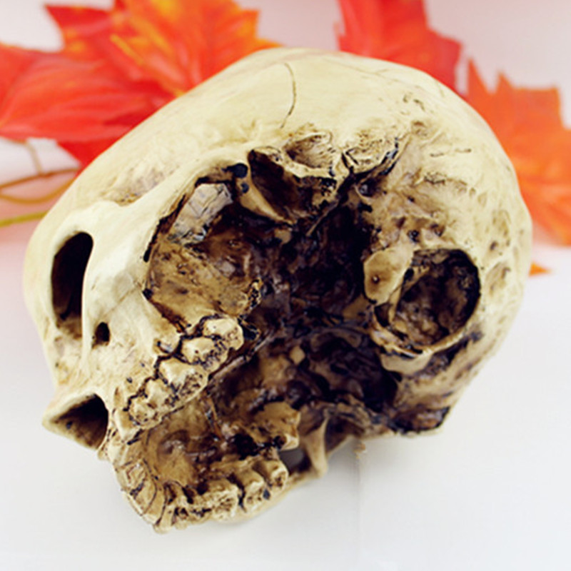 Skull Decor Resin Sculpture Skull Decor Resin Sculpture
