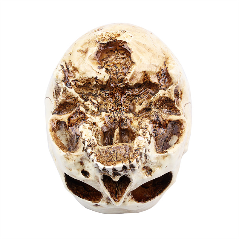 Skull Decor Resin Sculpture Skull Decor Resin Sculpture