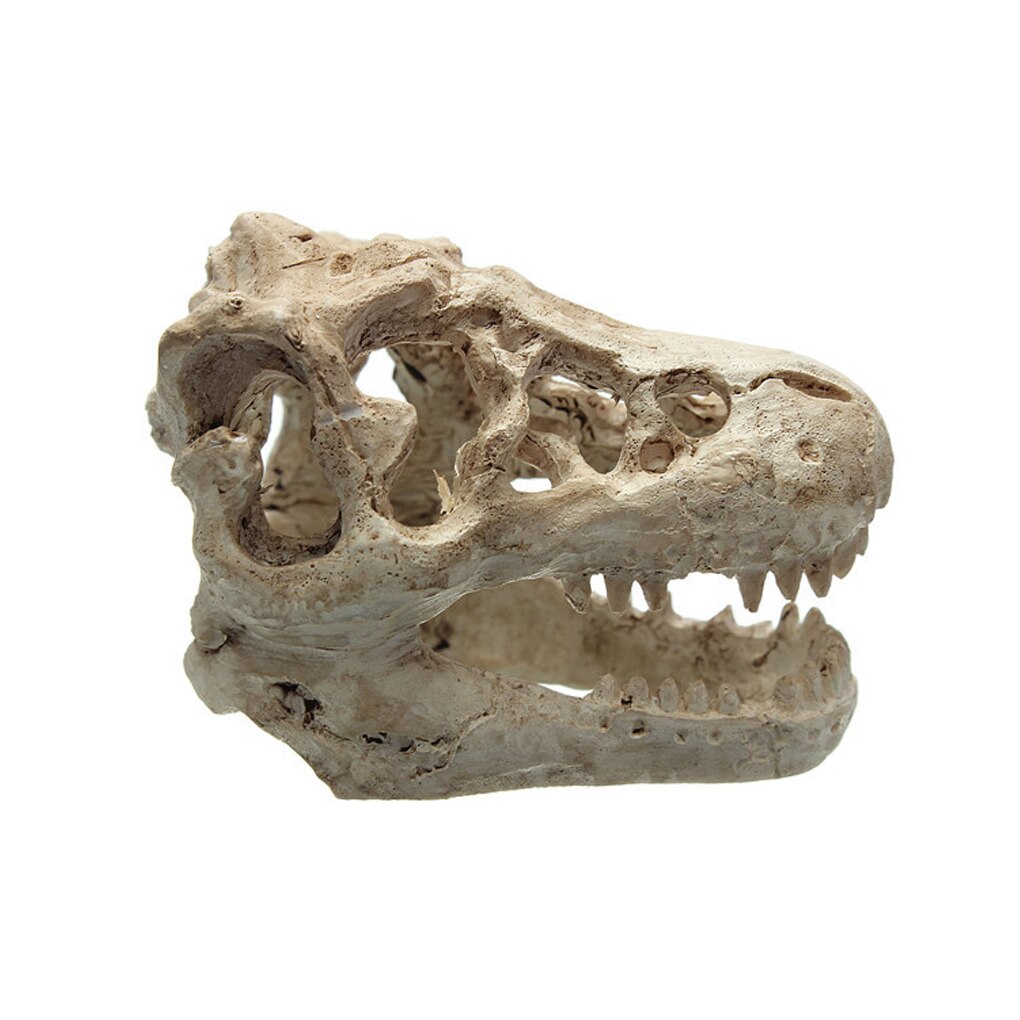 Skull Fish Tank Decor Aquarium Ornament Skull Fish Tank Decor Aquarium Ornament