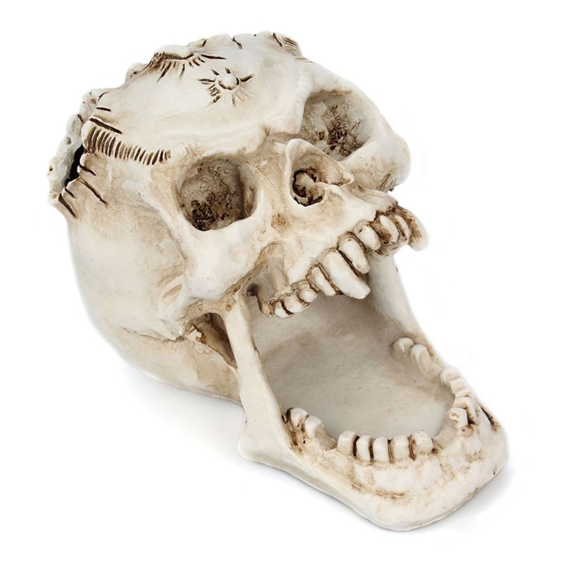 Skull Pen Holder Creative Pencil Organizer Skull Pen Holder Creative Pencil Organizer