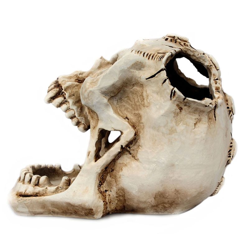 Skull Pen Holder Creative Pencil Organizer Skull Pen Holder Creative Pencil Organizer