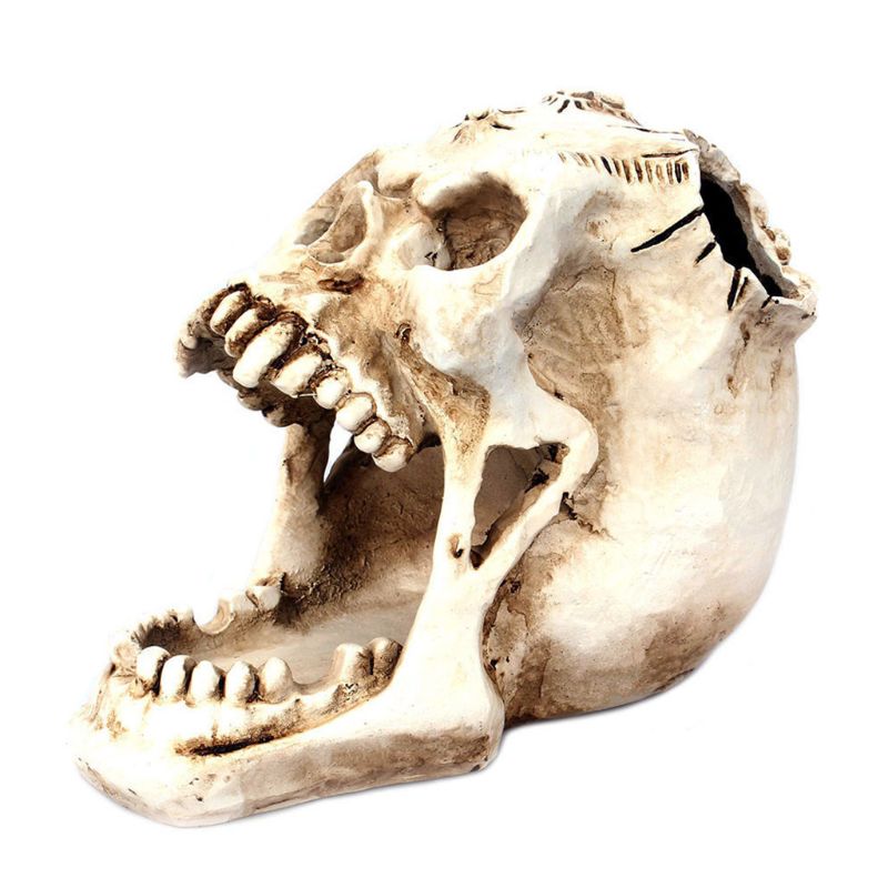 Skull Pen Holder Creative Pencil Organizer Skull Pen Holder Creative Pencil Organizer