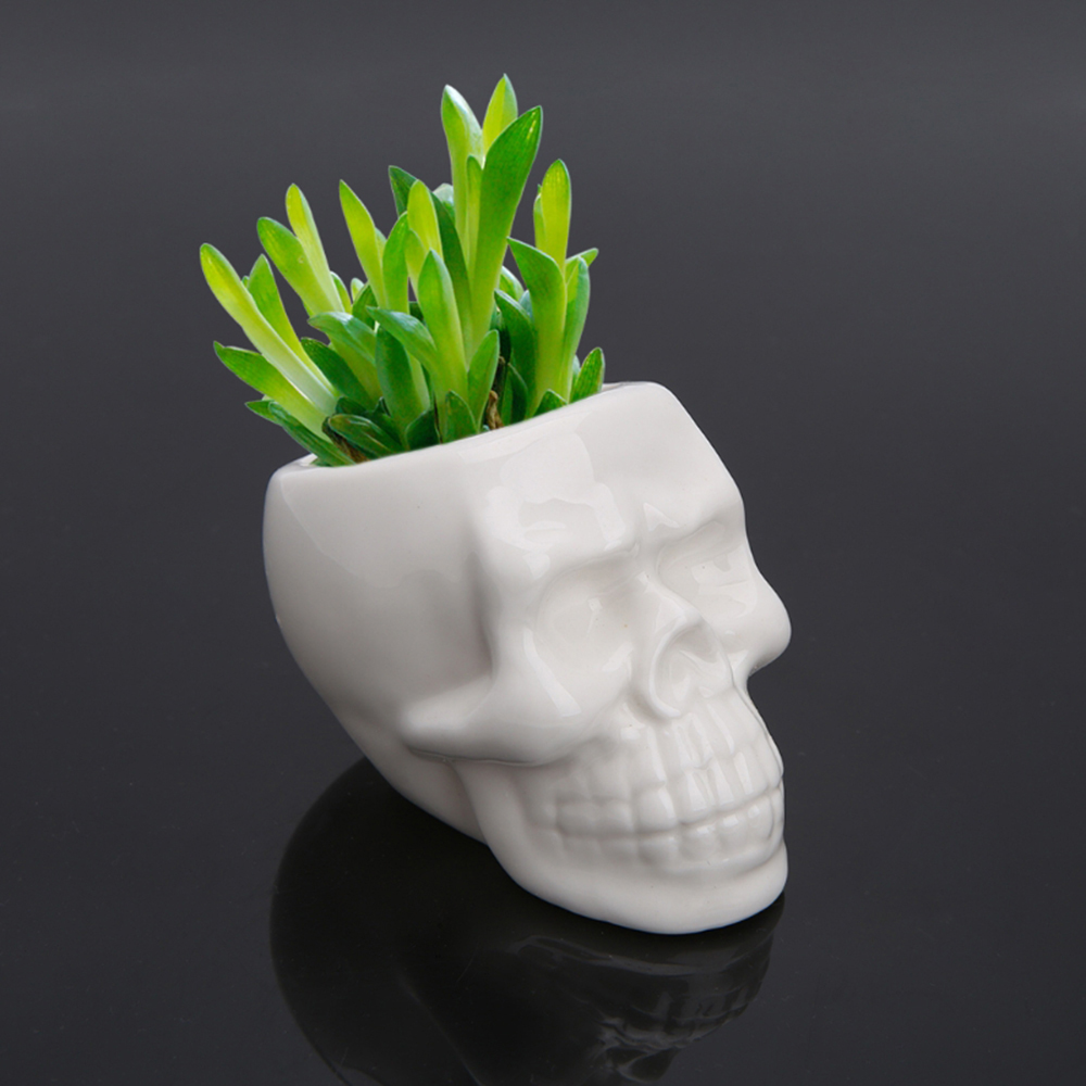 Skull Plant Pot Ceramic Decor