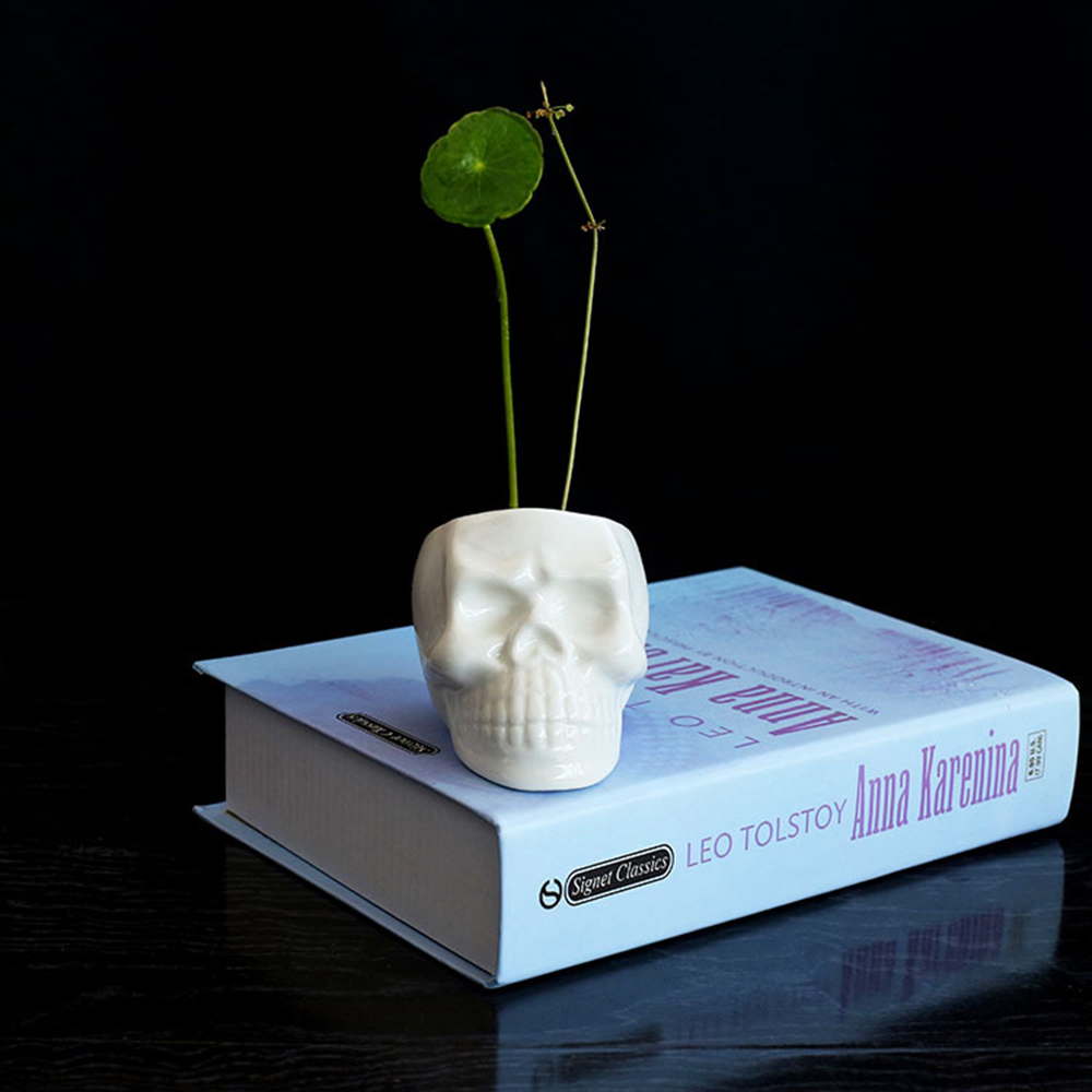 Skull Plant Pot Ceramic Decor