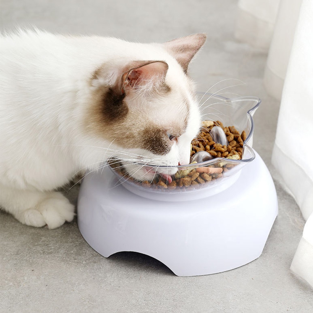 Slow Feeder 15° Raised Cat Food Bowl Slow Feeder 15° Raised Cat Food Bowl