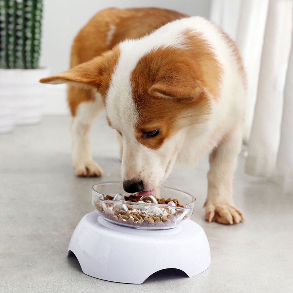 Slow Feeder 15° Raised Cat Food Bowl Slow Feeder 15° Raised Cat Food Bowl