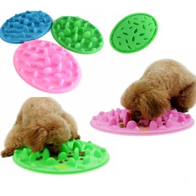 Slow Feeder Dog Bowl Anti-Choke Feeding Slow Feeder Dog Bowl Anti-Choke Feeding