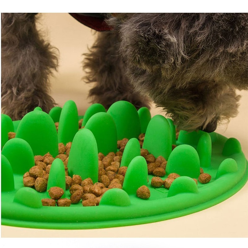 Slow Feeder Dog Bowl Anti-Choke Feeding Slow Feeder Dog Bowl Anti-Choke Feeding