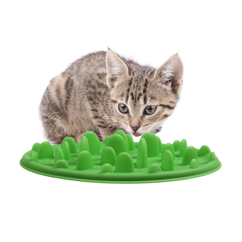 Slow Feeder Dog Bowl Anti-Choke Feeding Slow Feeder Dog Bowl Anti-Choke Feeding