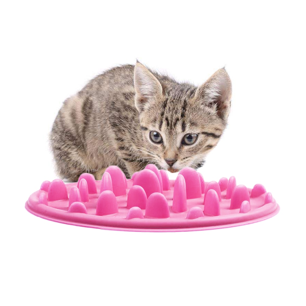 Slow Feeder Dog Bowl Anti-Choke Feeding Slow Feeder Dog Bowl Anti-Choke Feeding