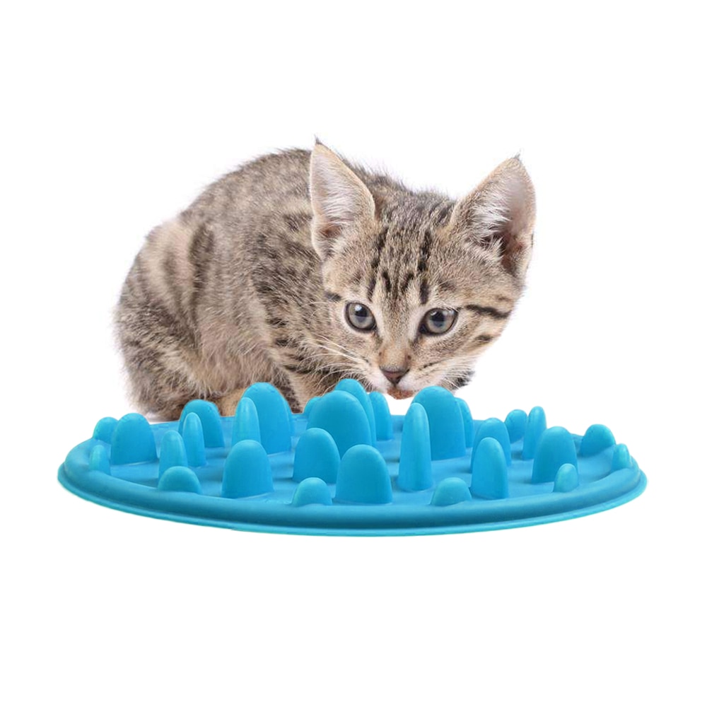 Slow Feeder Dog Bowl Anti-Choke Feeding Slow Feeder Dog Bowl Anti-Choke Feeding