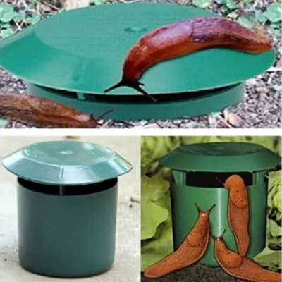Slug Trap Garden Pest Catcher