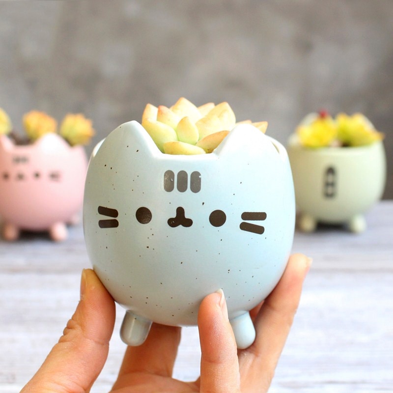 Small Cat Design Indoor Succulent Planter