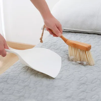 Small Dustpan and Brush Cleaning Tools Small Dustpan and Brush Cleaning Tools