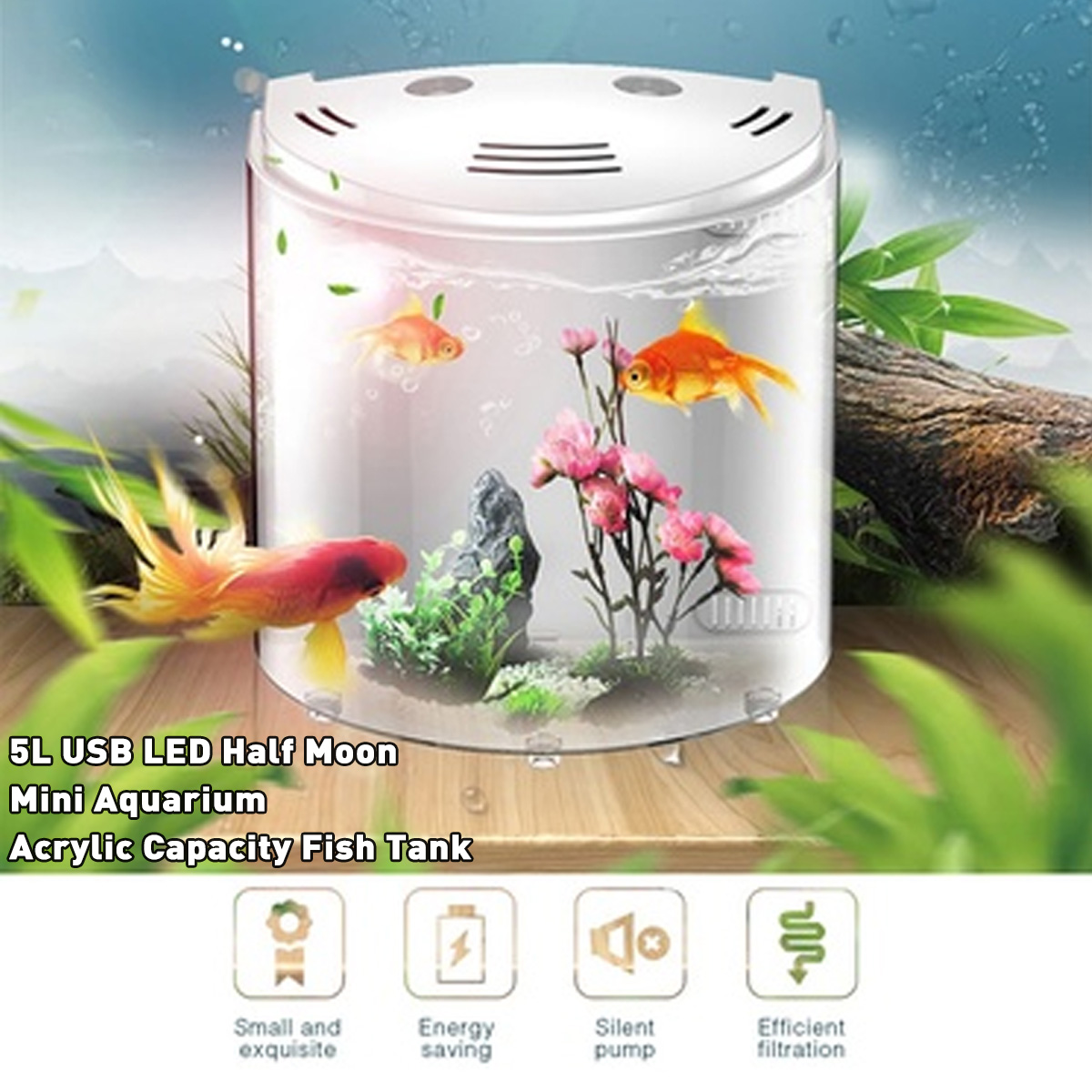 Small Fish Aquarium with USB Light