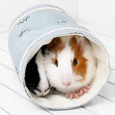 Small Guinea Pig Tunnel Hamster House Small Guinea Pig Tunnel Hamster House