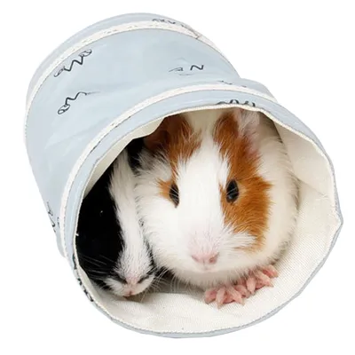 Small Guinea Pig Tunnel Hamster House Small Guinea Pig Tunnel Hamster House