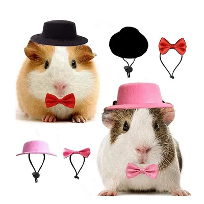 Small Hamster Hat and Bowtie